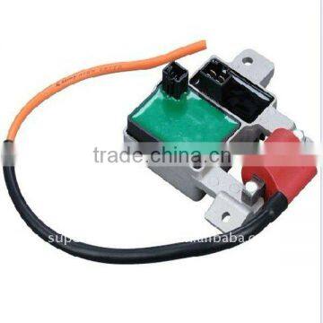 D019 Ignition Coil of spare parts