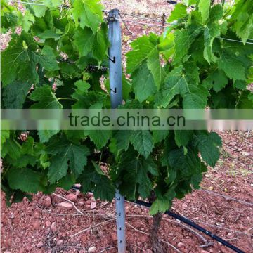 High quality grape growing post