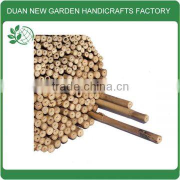 Natural bamboo tonkin cane