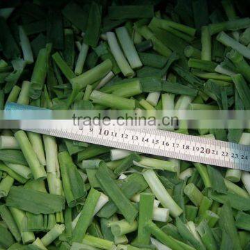 New season of frozen green onion