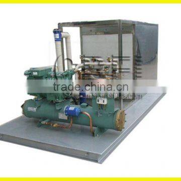Sea water plate ice maker for fish industry