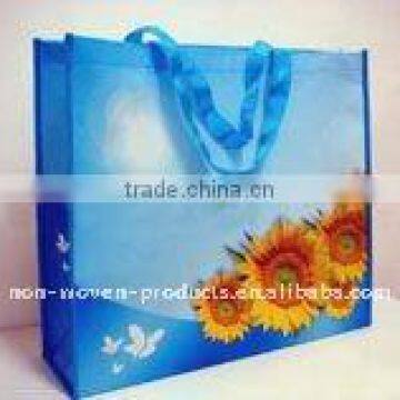 Eco friendly and reusable PP woven shopping bag