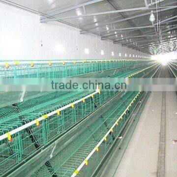 Commerial Automatic Chicken Cage photo-3
