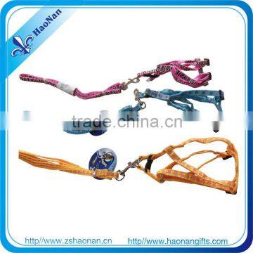 characteristic dog leash with low price