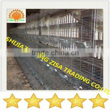 24 Rabbits Automatic Rabbit Breeding Cage Equipment in Kenya photo-3