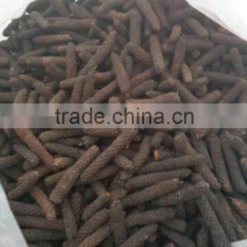 Indonesia Long Pepper
