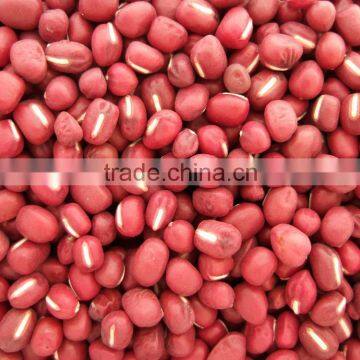 Red Adzuki Bean