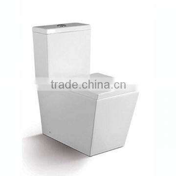 Luxurious Two Piece Square Human Sanitary Toilet