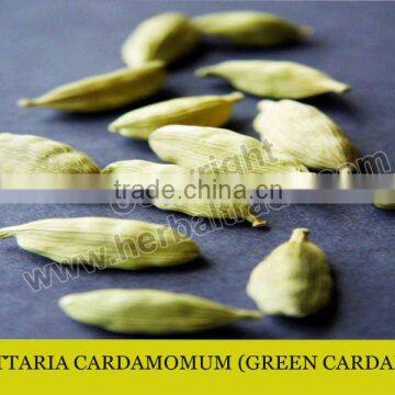 GREEN CARDAMOM