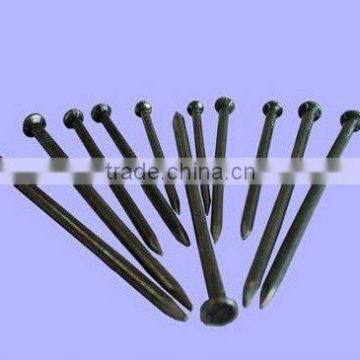 Common Nails/ Concrete Nail,Roofing Nail China Manufacturer