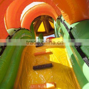 2016 Newest Inflatable Water or Dry Slide With Two Climbs and 2 Slidings