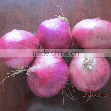 Red Onion from mainland