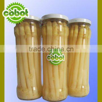 canned fresh vegetable bamboo shoots