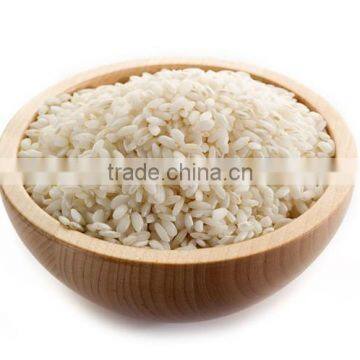 medium grain rice / round rice 5 broken / japonica rice