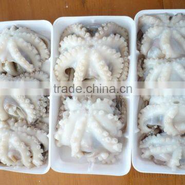 FROZEN OCTOPUS FLOWER