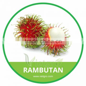 HIGH QUALITY FRESH RAMBUTAN // JAVA RAMBUTAN // VIETNAM FRESH FRUIT