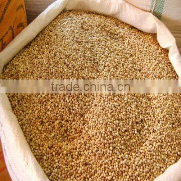 Competitive Price White Pepper