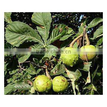 Horse Chestnut Extract Powder 25:1- Water Soluble