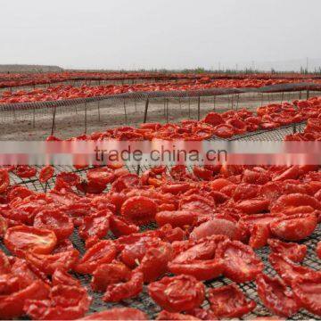 Sweet Sun Dried Tomatoes Wholesale photo-5