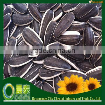 Sell Long Black Hulled Striped Sunflower Seeds 5009 China