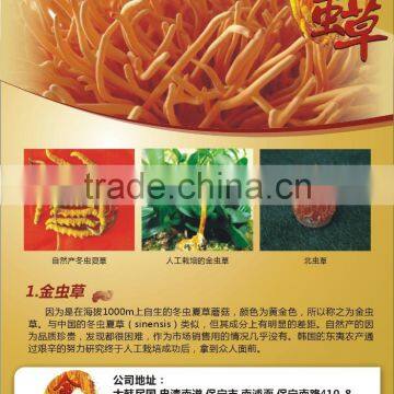 Hot Selling Fertilizer photo-2