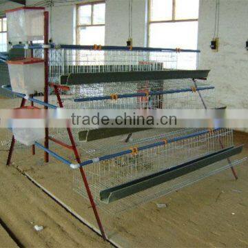 Meat Chicken Cage (Direct Factory) photo-3
