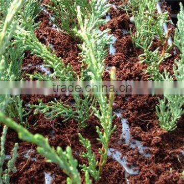 Large Capacity 5 Ton/hour Drying Coco Peat Dryer Machine Woth Best Price photo-5