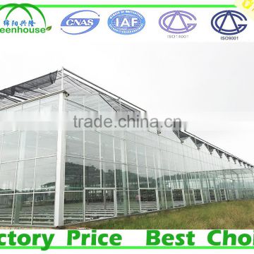 Large Size and Multi Span Agricultural Glass Greenhouse