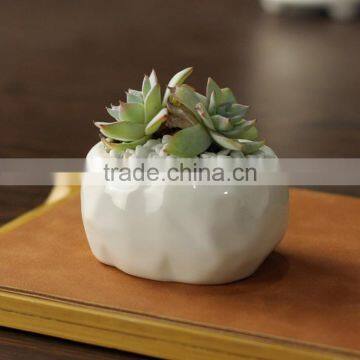 New Design Oval Stone Grain Ceramic Product Small White Flower Pot photo-2