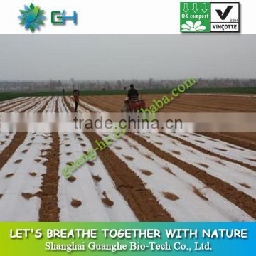 Biodegradable stretch film for agriculture,garden mulching