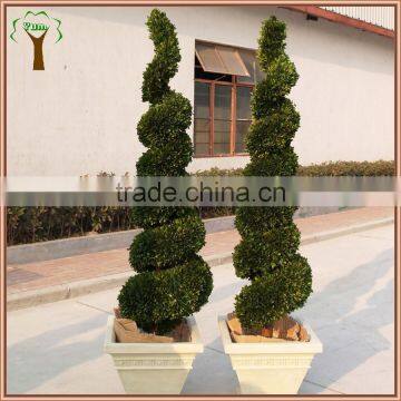 Commercial Decorative Preserved Spiral Boxwood Topiary photo-2