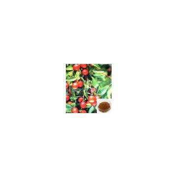 Jujube fiber