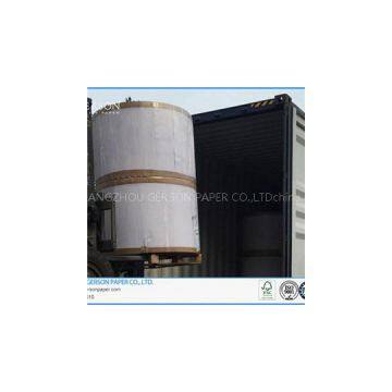 Clay Coated Grey Back Duplex Board in Roll Packing