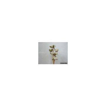 flower reed stick/reed stick