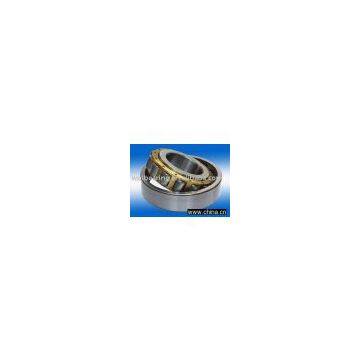 Cylindrical Roller Bearings