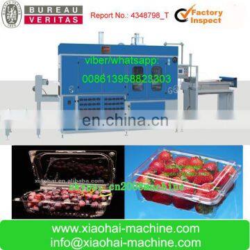 HAS VIDEO PS PP PET Disposable Plastic Food Container Machine photo-3