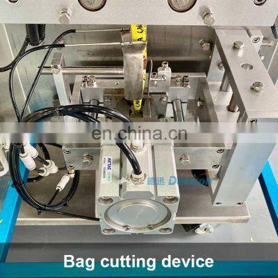 DS-200YX Liquid Irregular Sachet Packing Machine for Honey Cosmetic photo-4