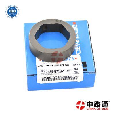 Delphi Common Rail Fuel Injection Pump Camring 7180-971B-131B