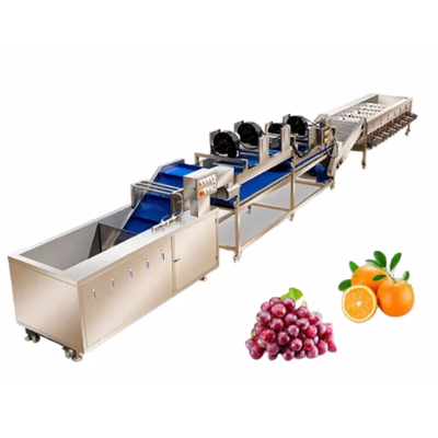 Máquina automática de lavado, encerado, secado y clasificación de frutas cítricas. Línea automática de limpieza y clasificación de cítricos. Precio económico en venta