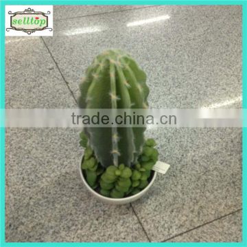 High quality 20cm plastic cactus plant names with ceramics pot