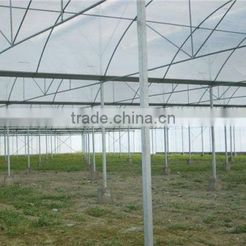 hot galvanized multi-span double layer plastic greenhouse