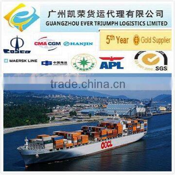 Sea Container DDP/DDU Shipping from China to Hamburg Germany