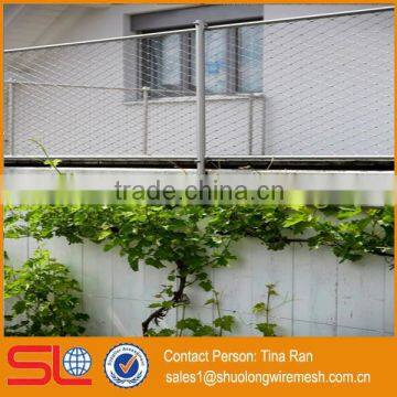 2mmx50mm stainless steel rope mesh green wall