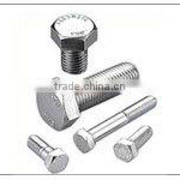 Stainless Steel Bolts