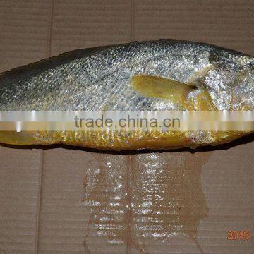 Hot sale yellow croaker gift box package