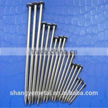 Factory Wire Iron Nail From China