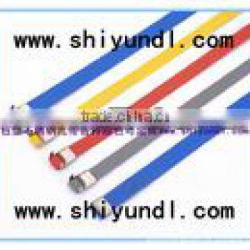 Self locking pvc/polyester coated stainless steel ss metal cable tie