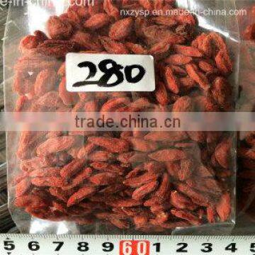 EU certificate goji berry 280