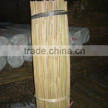 Bamboo Stake - Tonkin cane - Bamboo cane