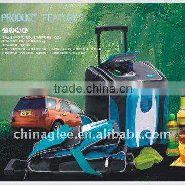 cooling and heating car refrigerator XT-1101A